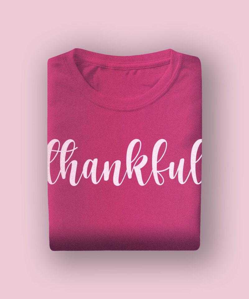 Flamingo Tshirt